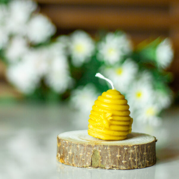 CANDLE008
