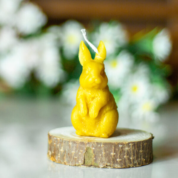 CANDLE009 2