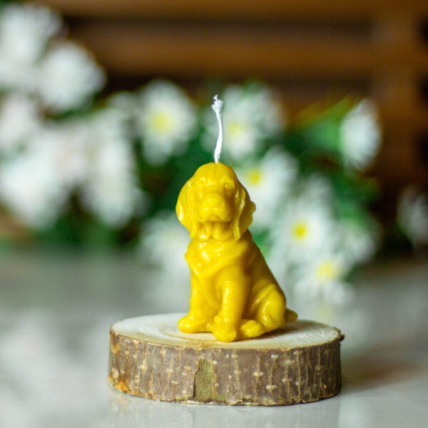 CANDLE009 5